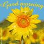 Good morning sunflower glitter image