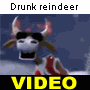 Funny video of a drunk reindeer