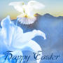 Holy Easter cards, a special message